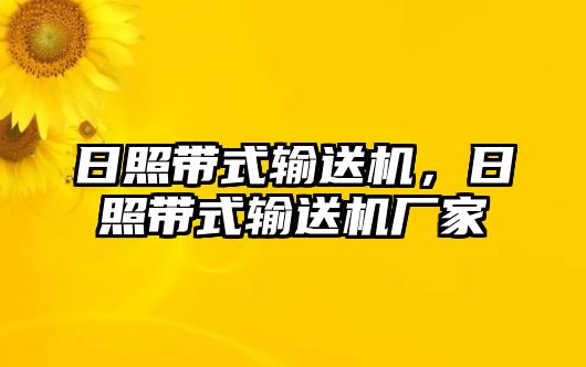 日照帶式輸送機(jī)，日照帶式輸送機(jī)廠家