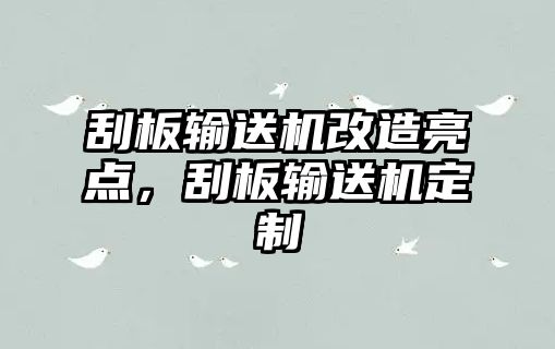 刮板輸送機改造亮點，刮板輸送機定制