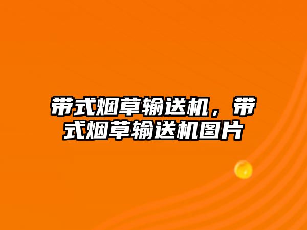 帶式煙草輸送機，帶式煙草輸送機圖片