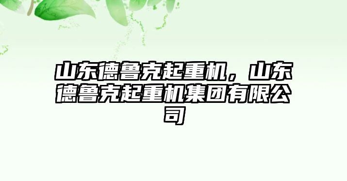 山東德魯克起重機，山東德魯克起重機集團有限公司