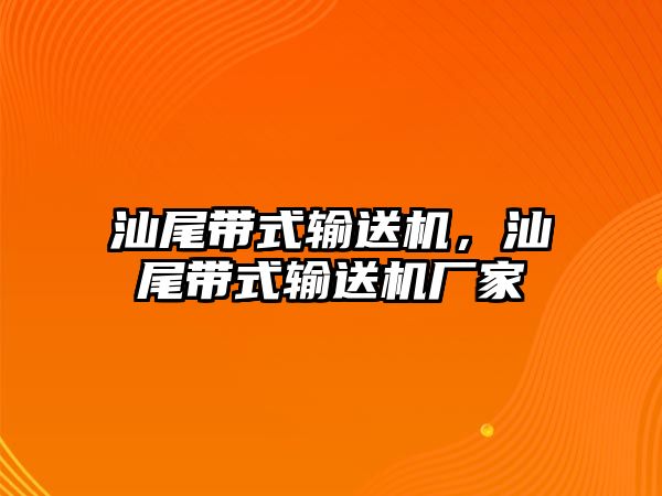 汕尾帶式輸送機，汕尾帶式輸送機廠家