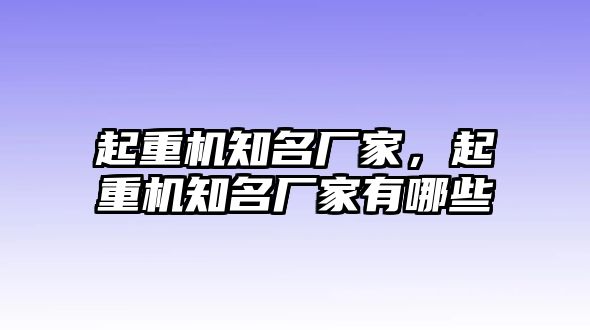 起重機(jī)知名廠家，起重機(jī)知名廠家有哪些