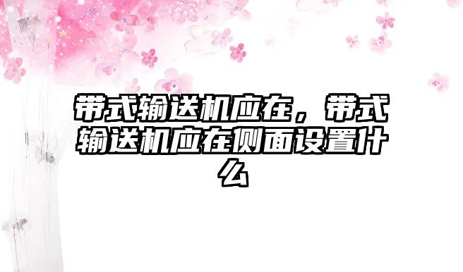 帶式輸送機(jī)應(yīng)在，帶式輸送機(jī)應(yīng)在側(cè)面設(shè)置什么