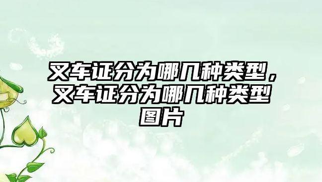 叉車證分為哪幾種類型，叉車證分為哪幾種類型圖片