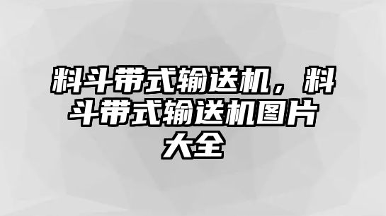 料斗帶式輸送機(jī)，料斗帶式輸送機(jī)圖片大全