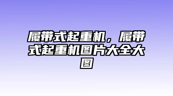 履帶式起重機(jī)，履帶式起重機(jī)圖片大全大圖