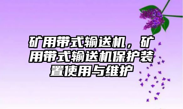 礦用帶式輸送機(jī)，礦用帶式輸送機(jī)保護(hù)裝置使用與維護(hù)