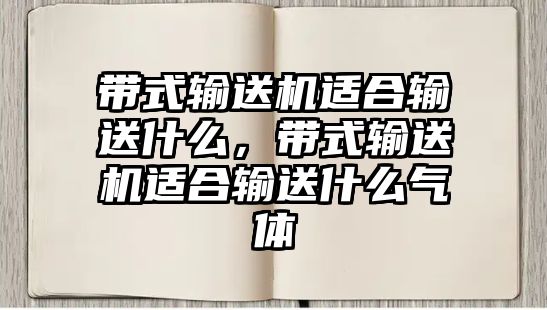 帶式輸送機適合輸送什么，帶式輸送機適合輸送什么氣體