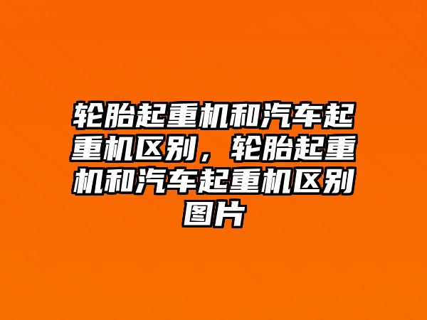 輪胎起重機和汽車起重機區(qū)別，輪胎起重機和汽車起重機區(qū)別圖片