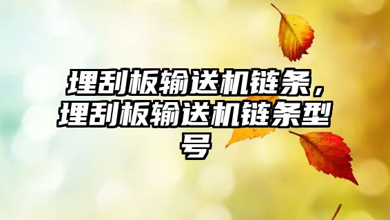 埋刮板輸送機鏈條，埋刮板輸送機鏈條型號